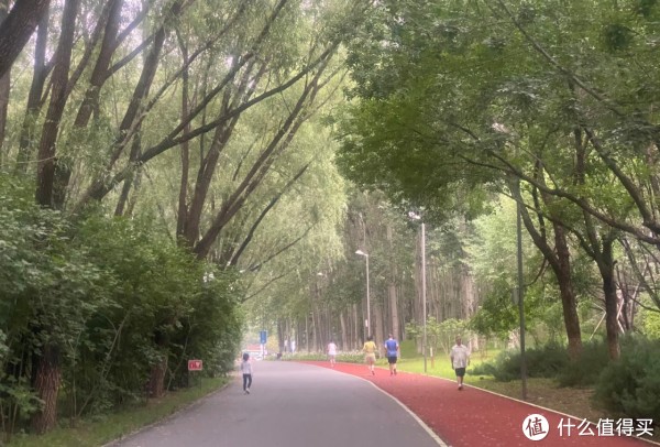 img, entit, 余晖中迈出